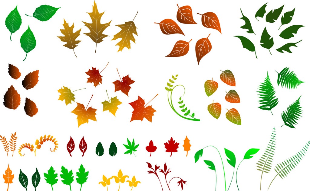 Huge Collection of Vector Leaves