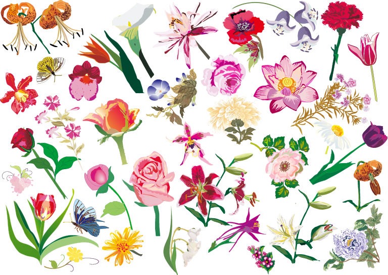 Various Flowers Vector Image Set