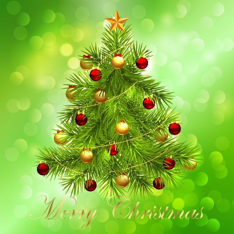 Christmas Tree on Bokeh Background Vector Graphic