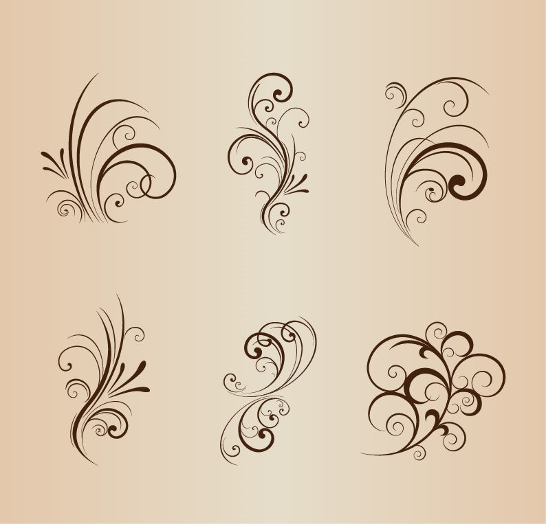 Collection of Floral Design Elements Vector Illustration