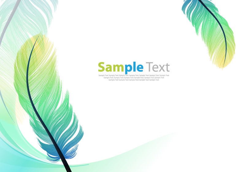 Vector Color Feathers Background