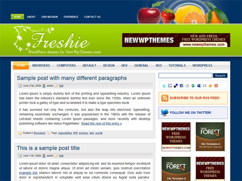 Free WordPress Theme - Freshie