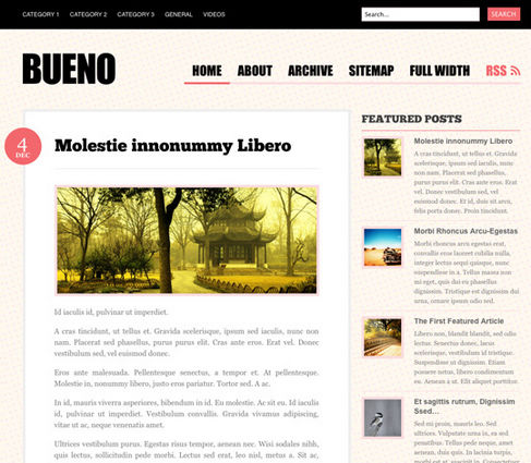 Free Wordpress Theme - Bueno