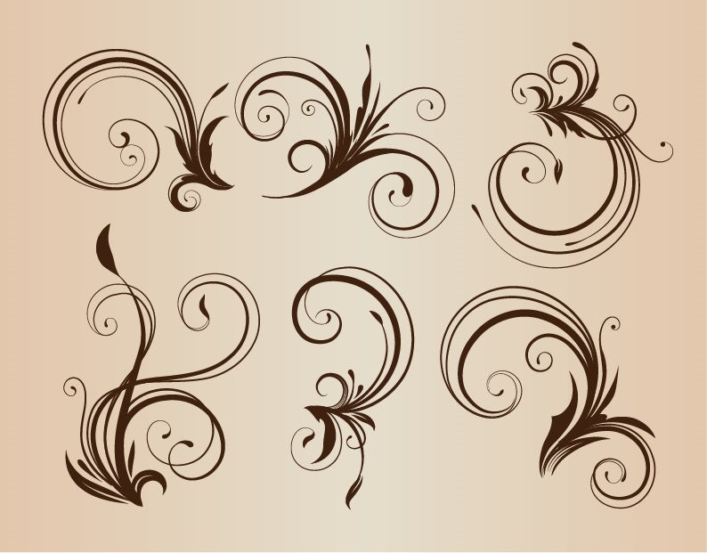 Curly Floral Elements for Design Vector Illustration