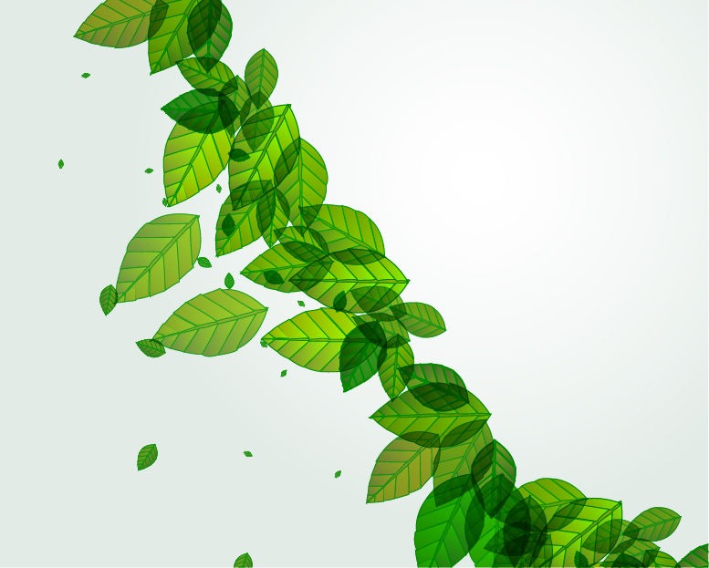 Fresh Green Leaves Vector Background