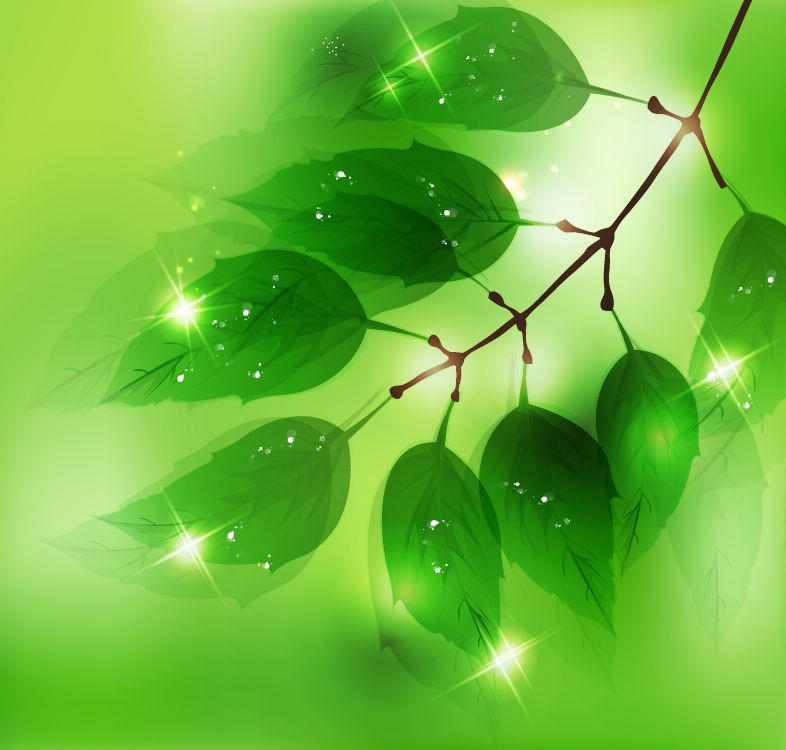 Nature Background with Fresh Green Leaves