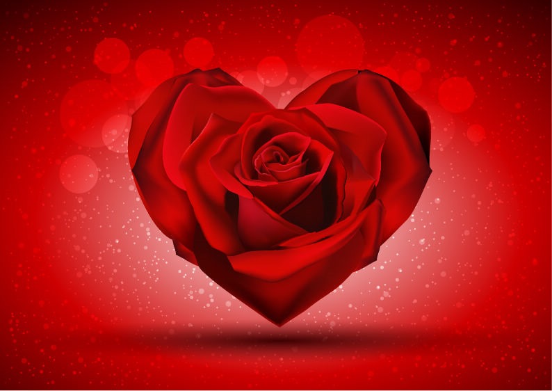 Red Rose in The Shape of Heart over Bright Background Vector
