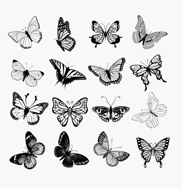 Set of Butterflies Silhouettes Vector Illustration