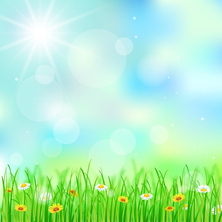 Spring Grass and Followers Background Vector Illustration