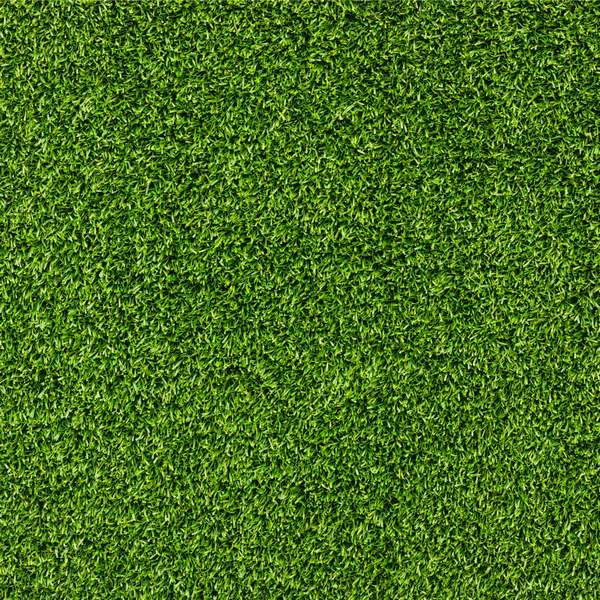 Beautiful Green Grass Texture