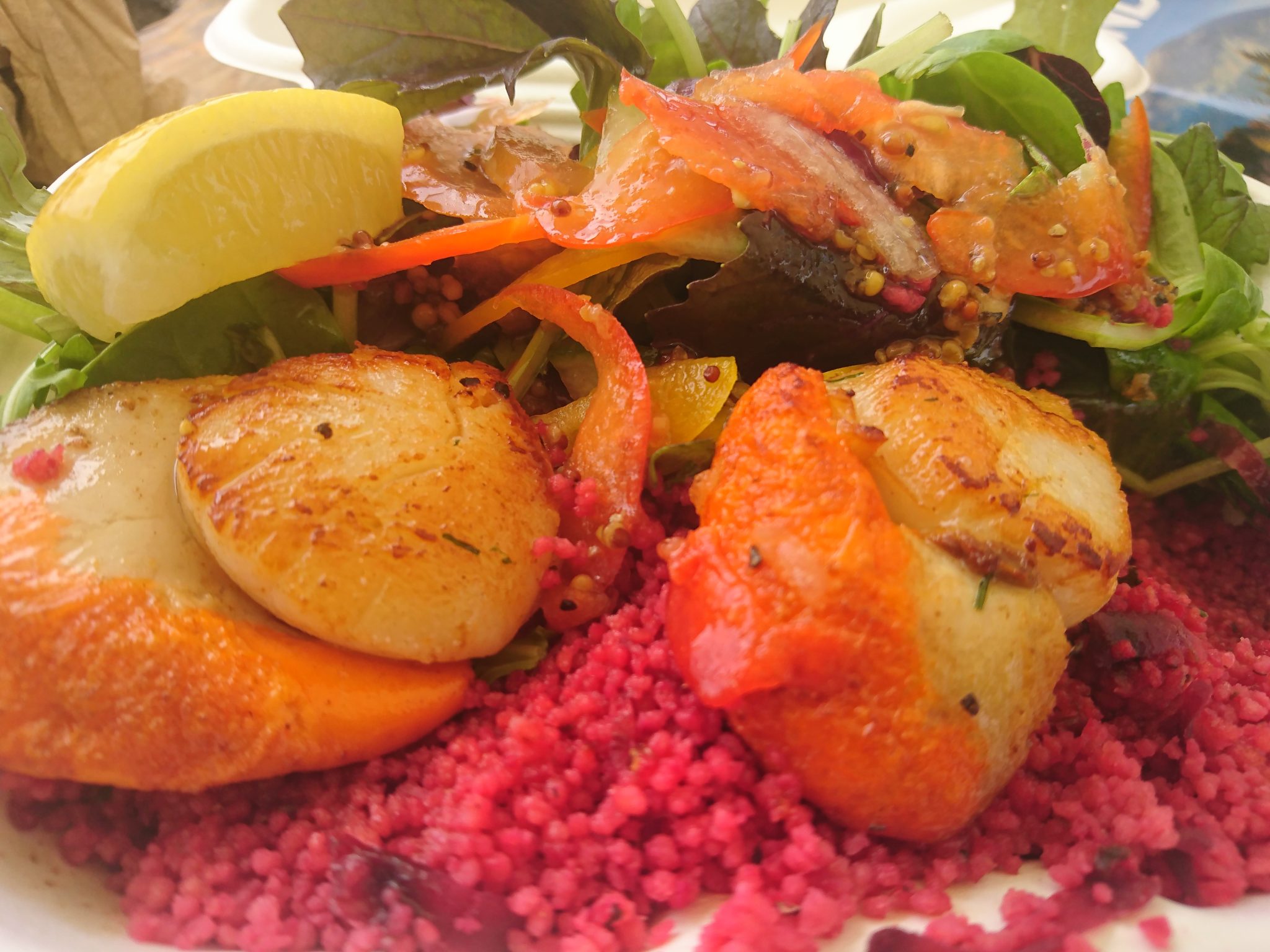 Hand dived scallops, served with couscous, lemon and salad