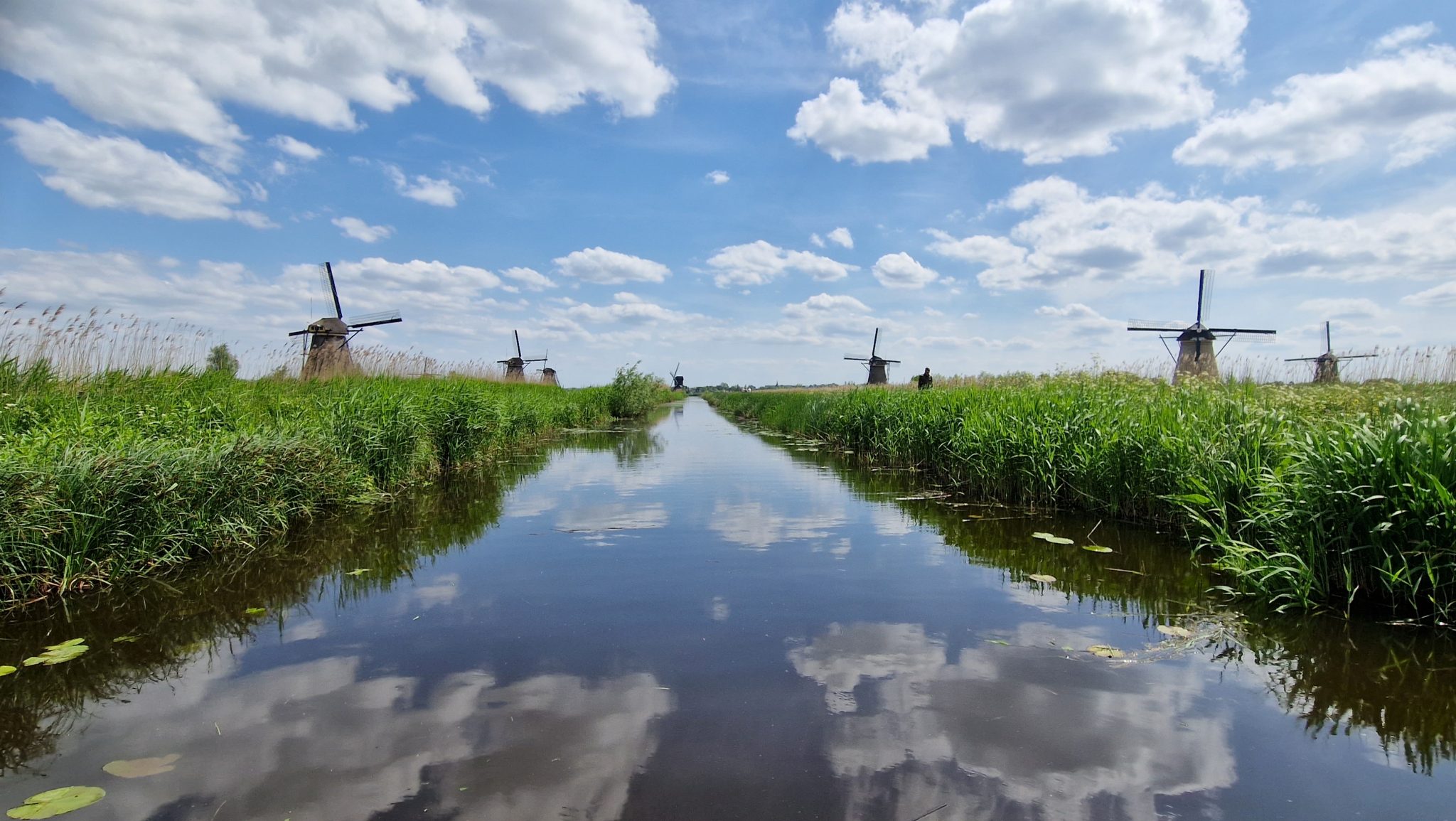 Windmills in Kinderdijk Netherland