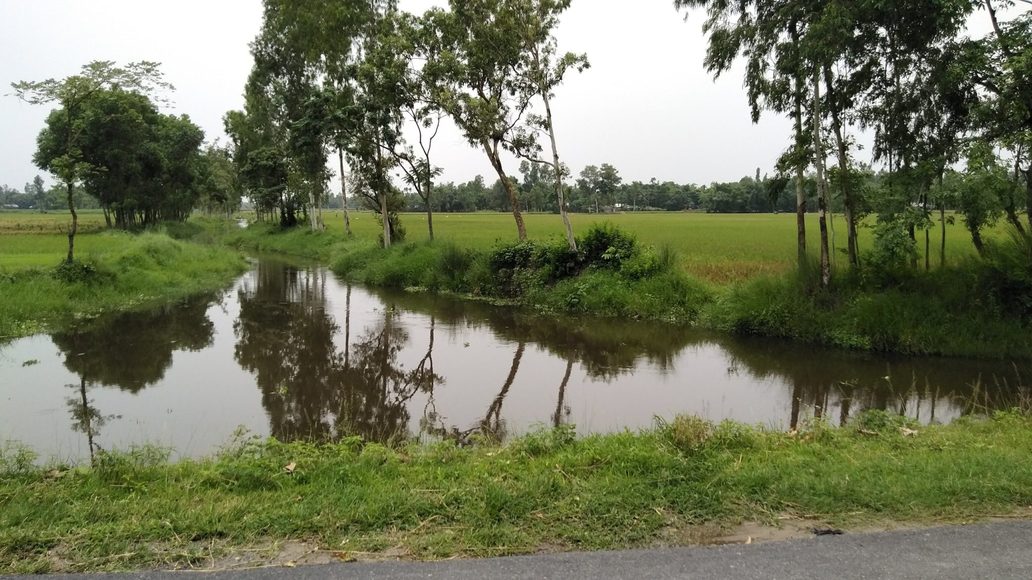 A small canal between the rural fields