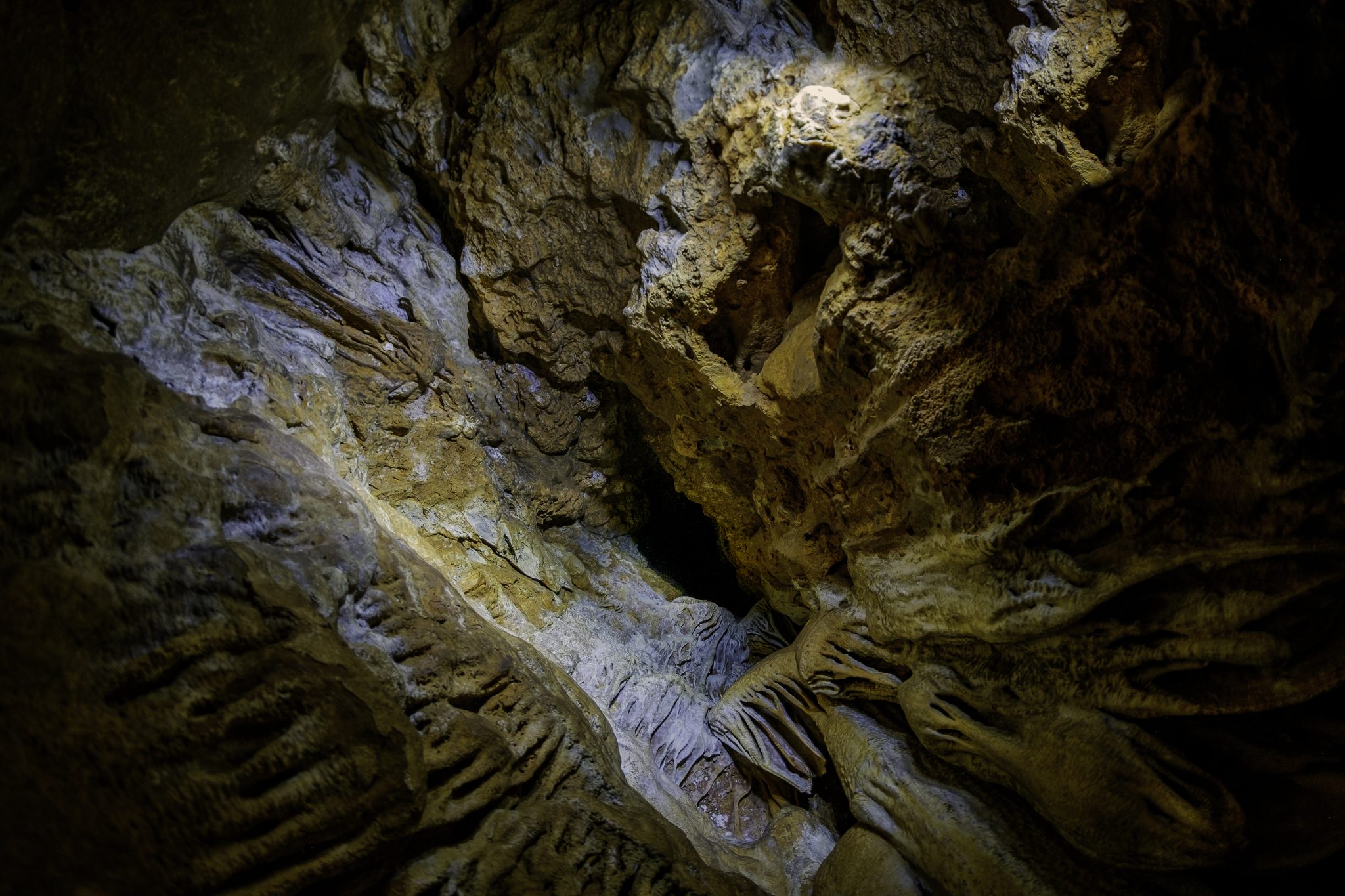 Looking upward into a cave from below. Lots of squiggly rock formations.