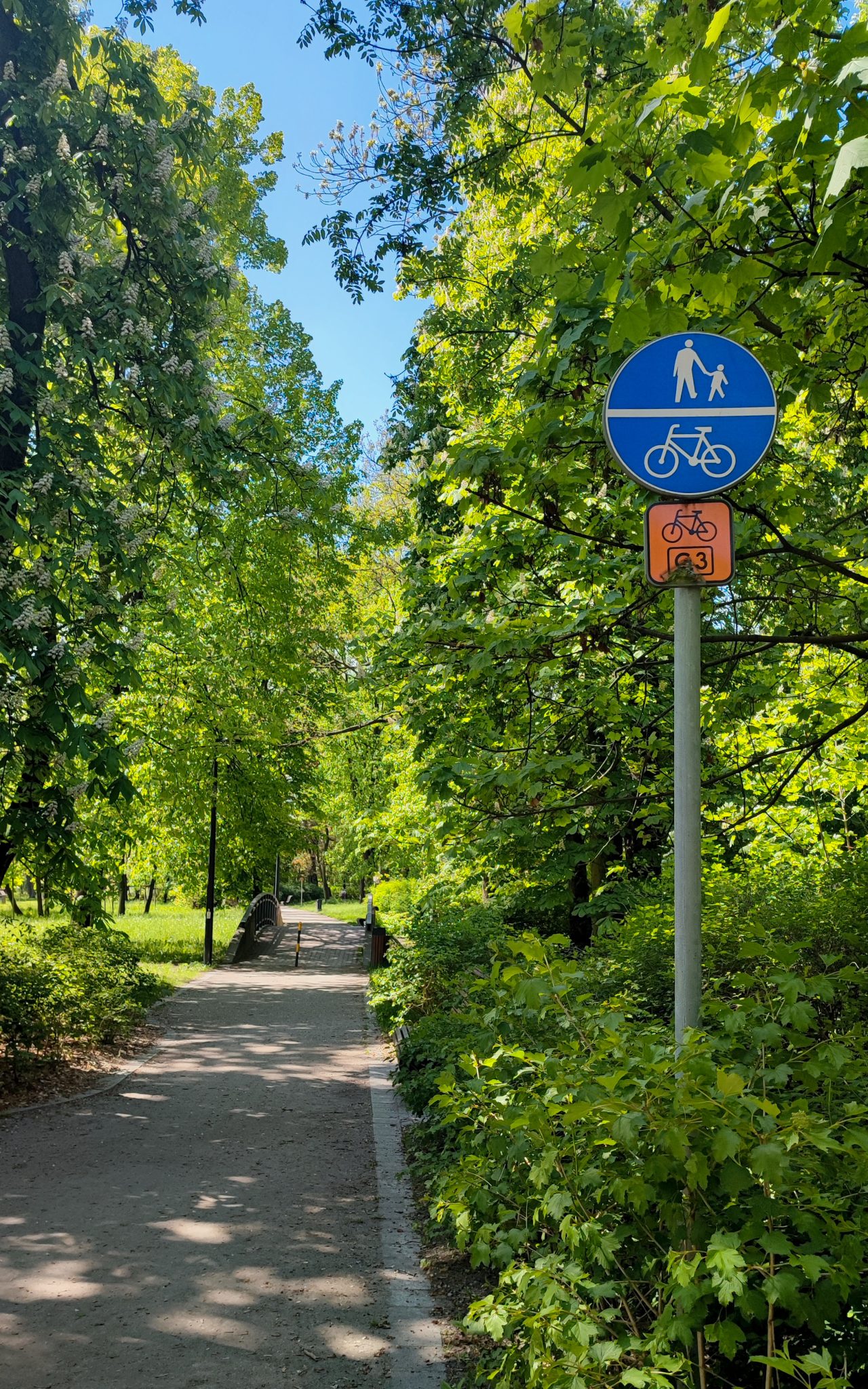 Spring in park in Gliwice, Poland. Footpath and bike lane, green trees and road sign.