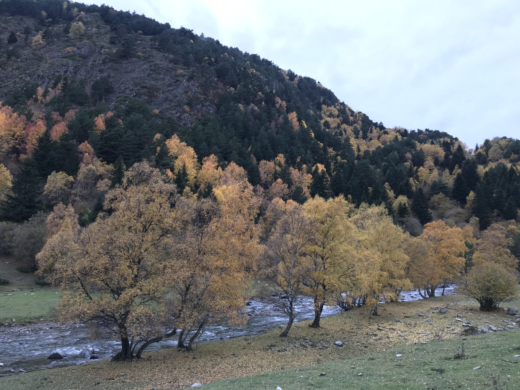 River in a valley in autumn