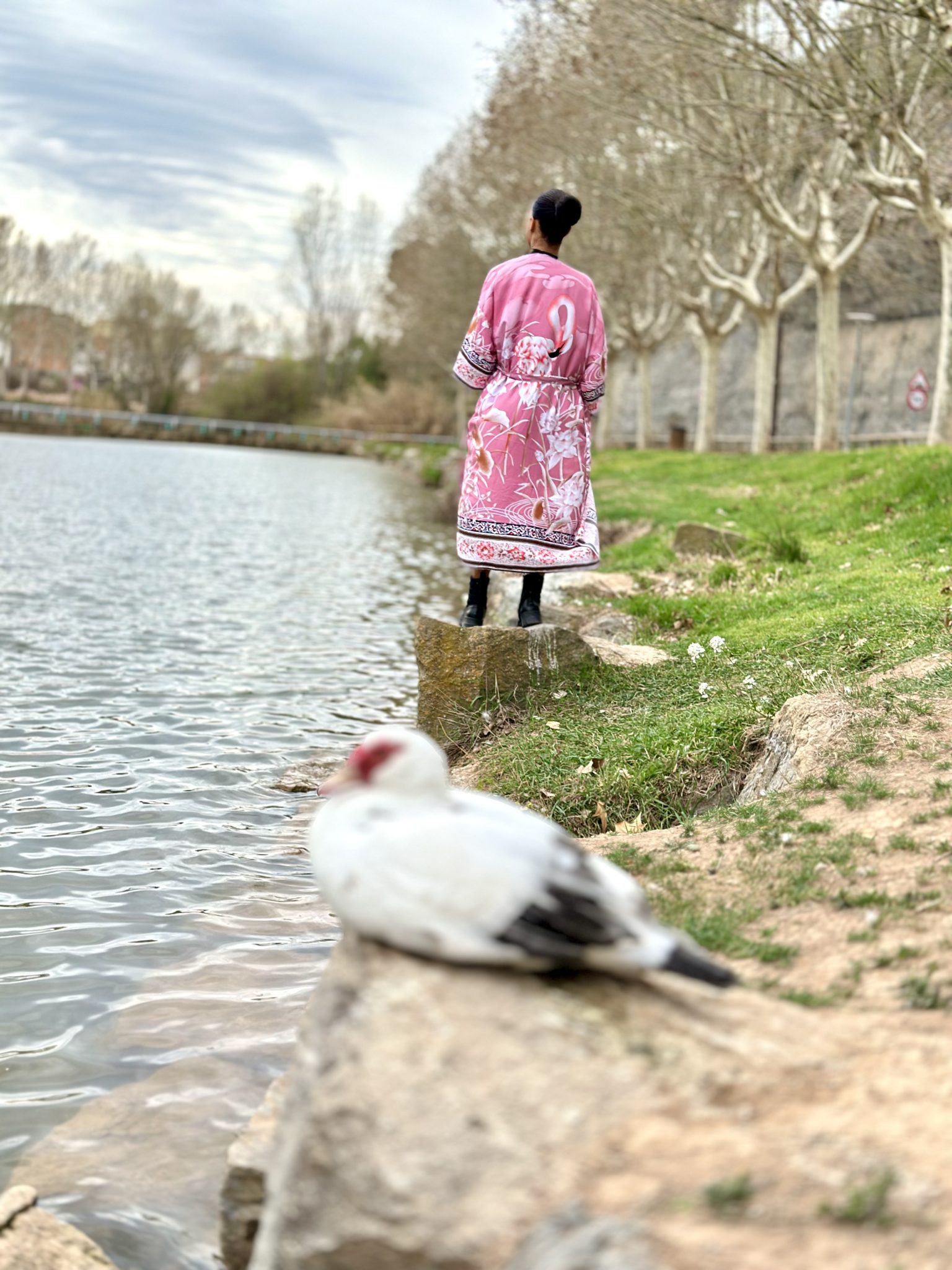 Kimono rosa con flamenco al lado del rio con pato. Person standing on a rock next to water wearing a pink kimono with a flamingo on it. In the immediate foreground, blurry, is a duck snuggled down to keep warm.