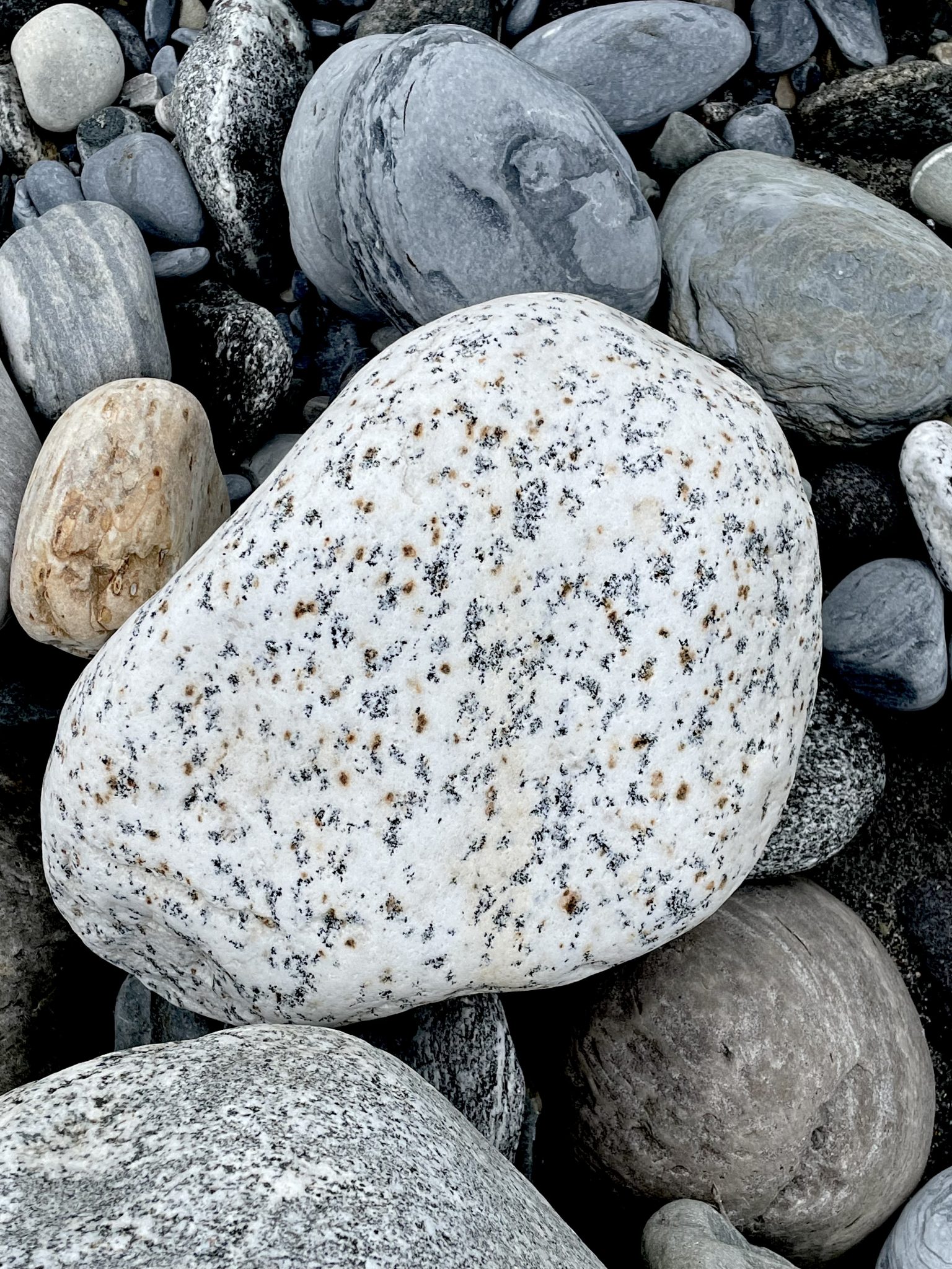 Stone art by nature. A big pebble from the banks of Seti Gandaki river. Pokhara, Nepal.
