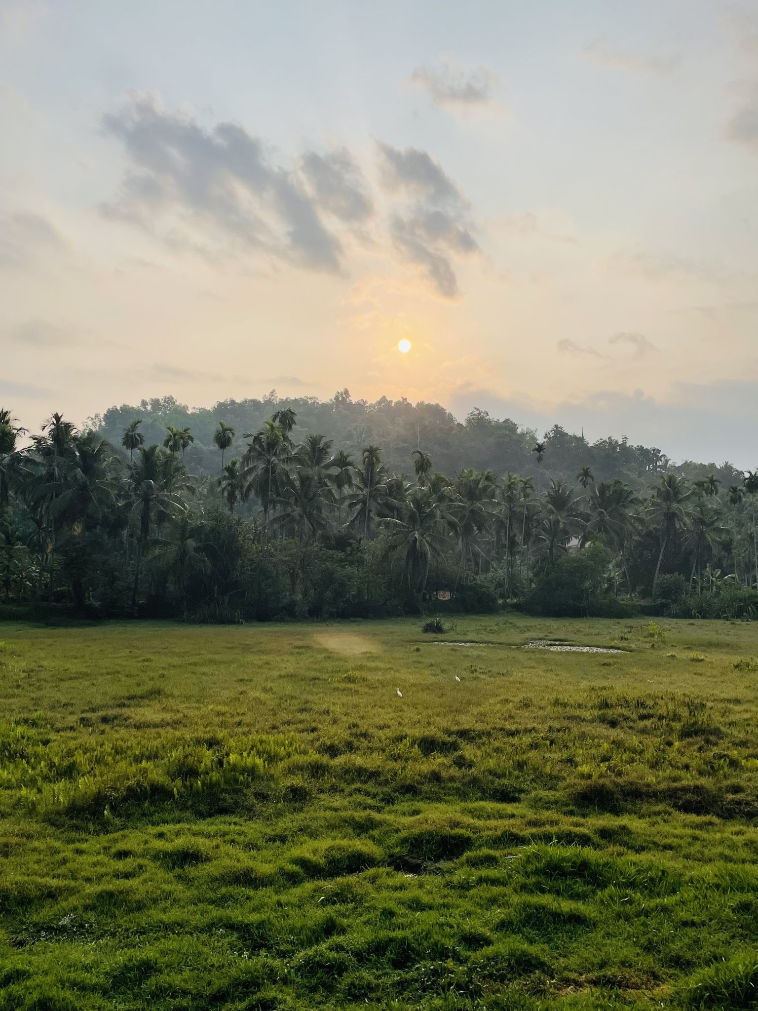 Sunrise from Perumanna village. Kozhikode, Kerala, India