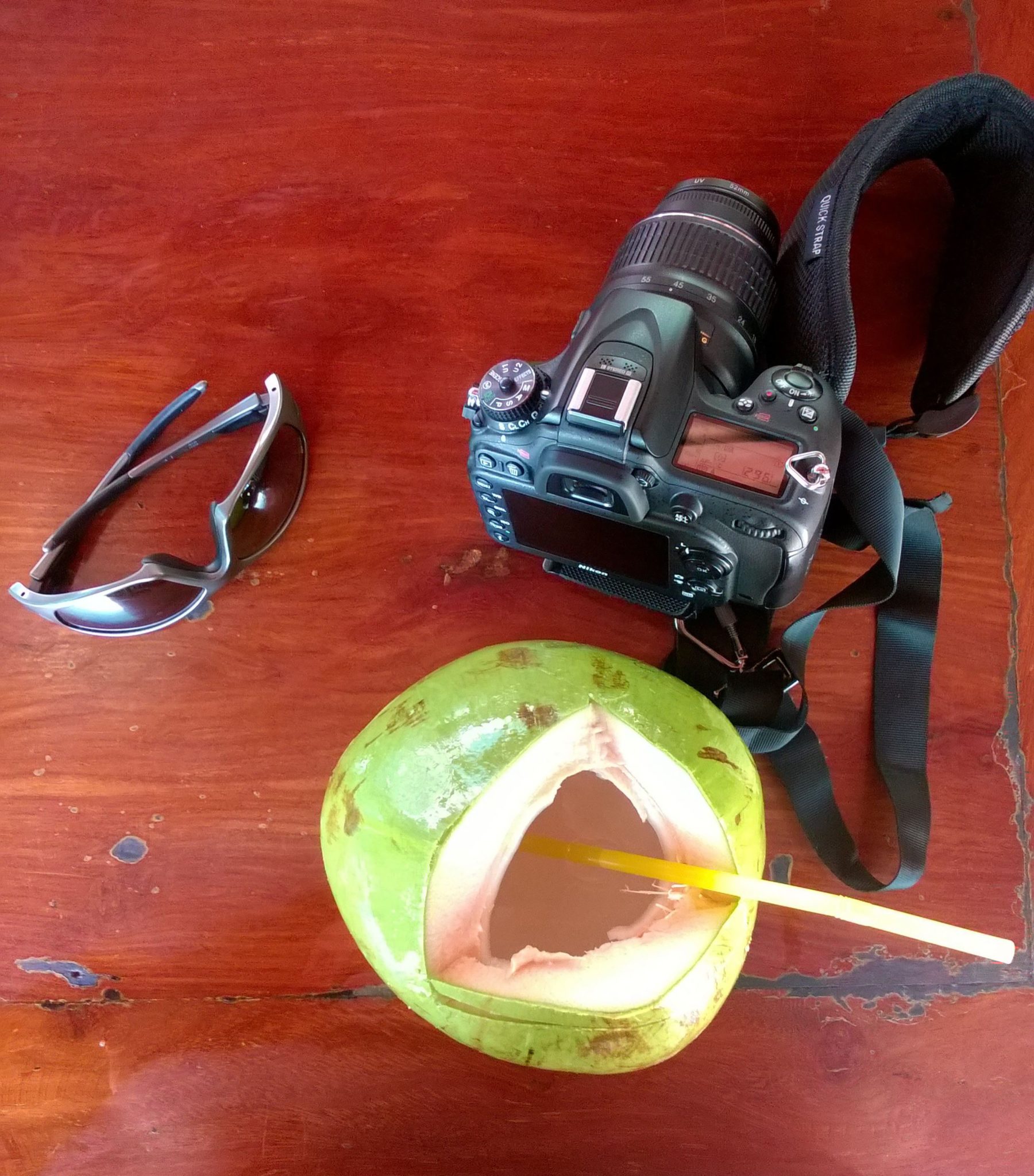 Traveler, coconut, camera, sunglasses