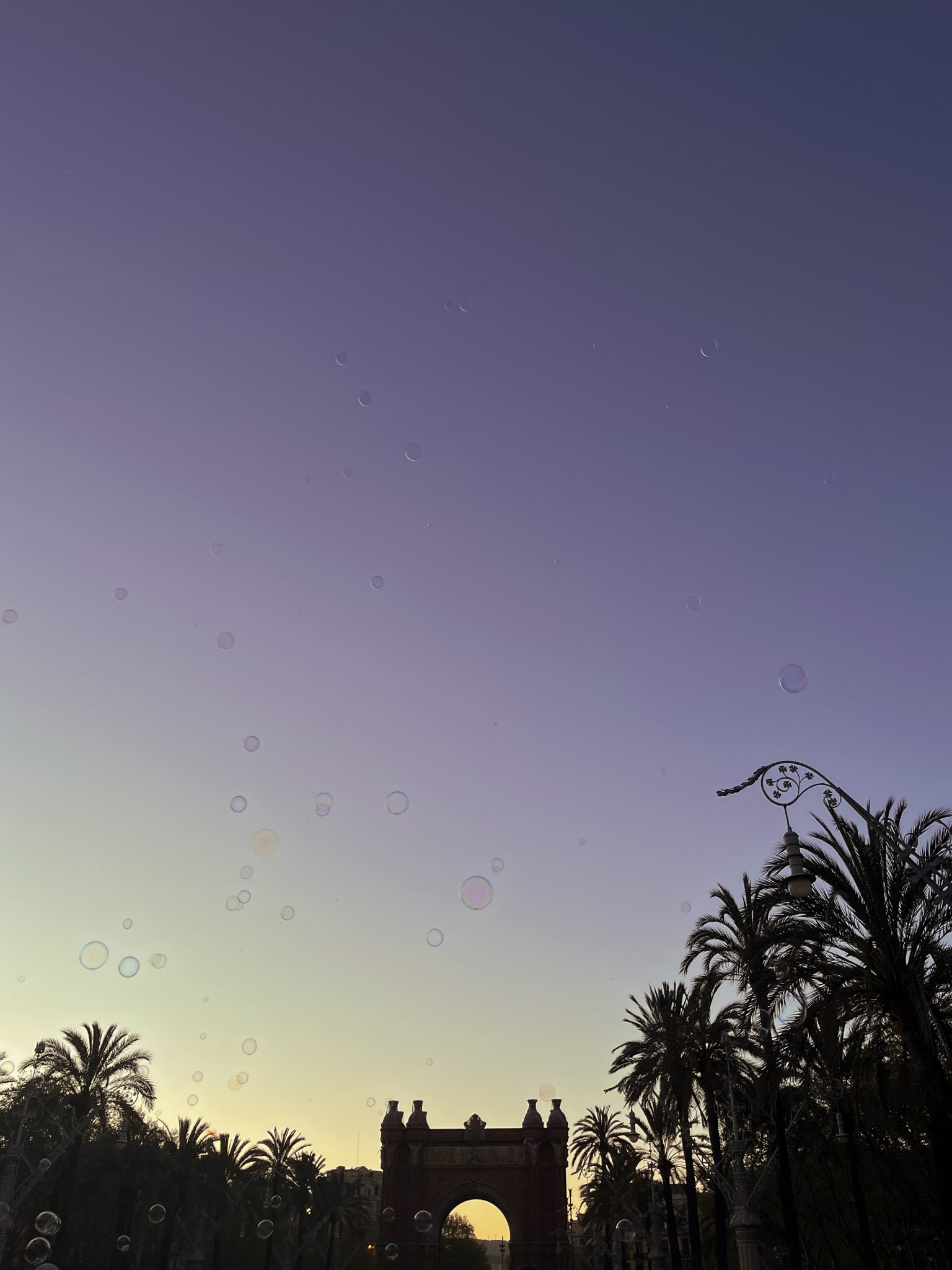 Sunset sky, full of soap bubbles, taken from Passeig de Lluís Companys, in Barcelona (Spain). At the bottom, the Arc de Triomf and palm trees backlighted.
