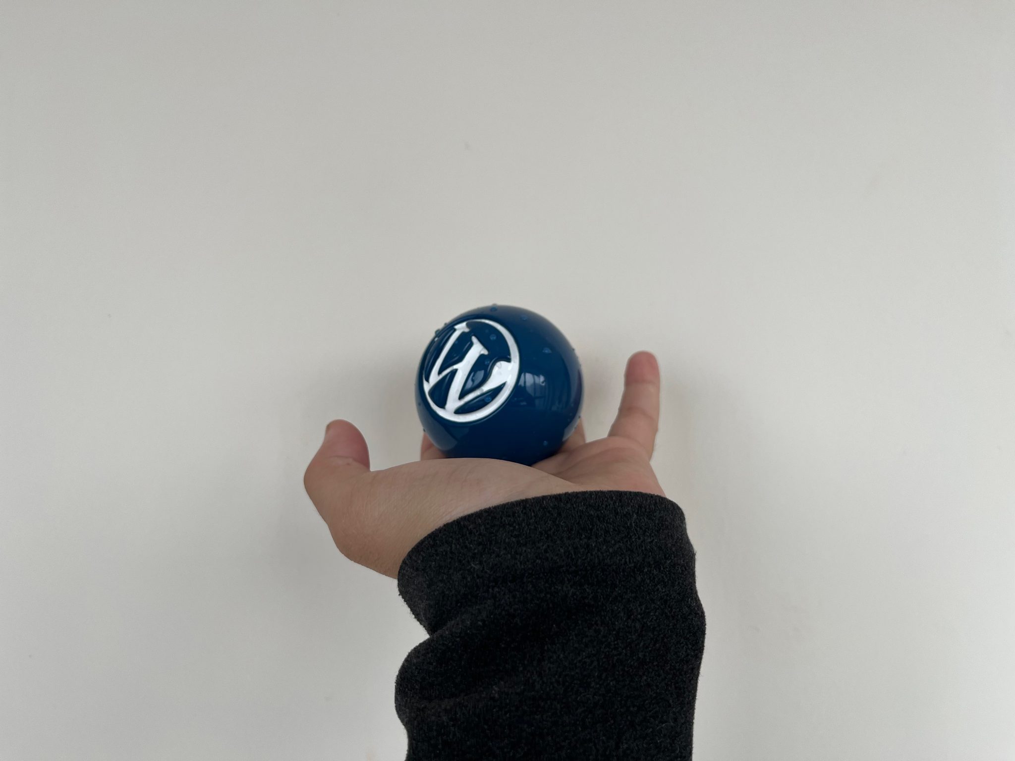 WordPress Blue Ball Wallpaper Collection: Ball in Palm