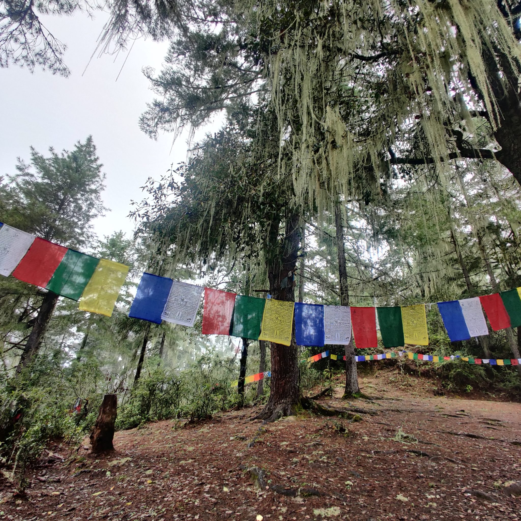 Buddhist Flags on Paro Taktsang (Tiger's Nest) hiking trail