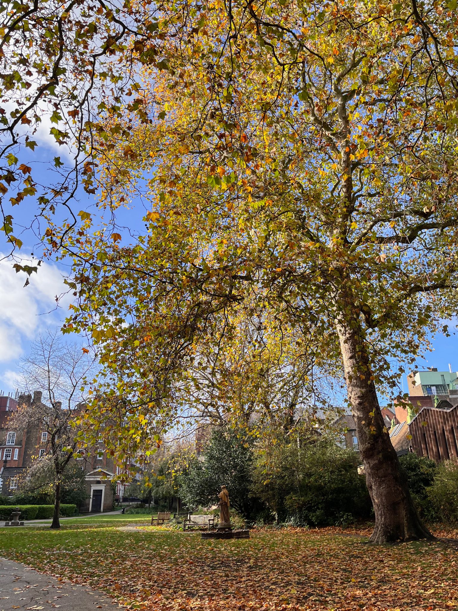 Autumn noon at Saint George's Gardens in London