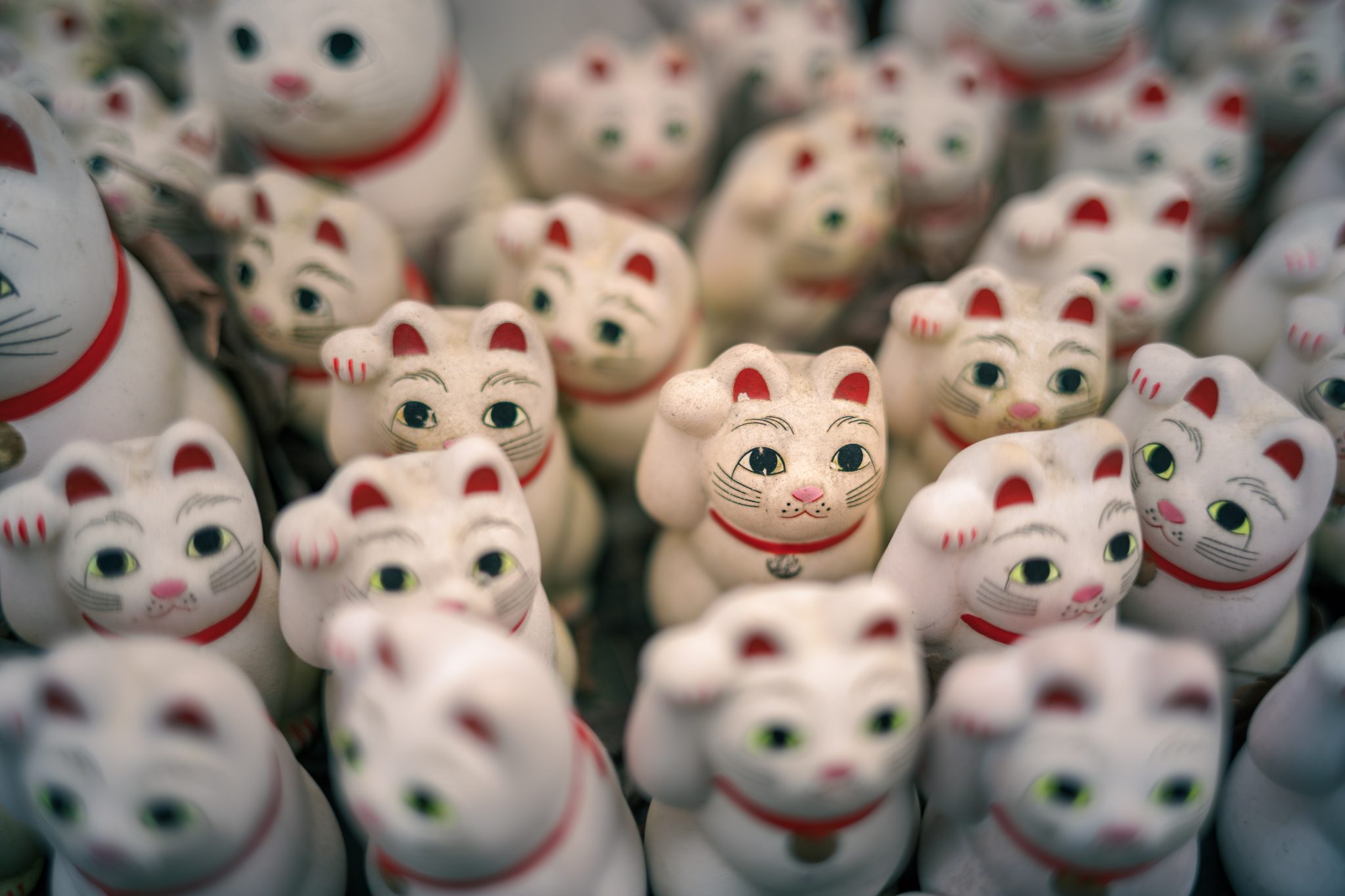 Photo shows a lot of Maneki-neko (beckoning cat), with one in particular standing out in the photograph. This beckoning cats also look like salarymen riding the train. These cats, with one paw raised, are known to bring good luck & prosperity.