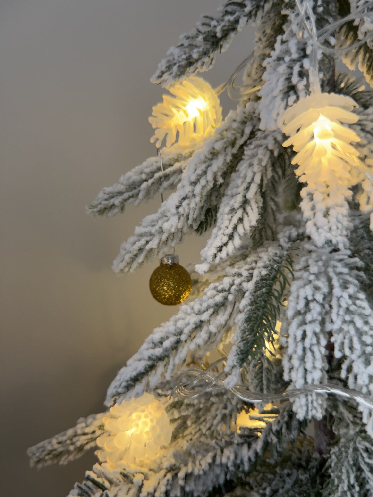 Pine cone Christmas lights