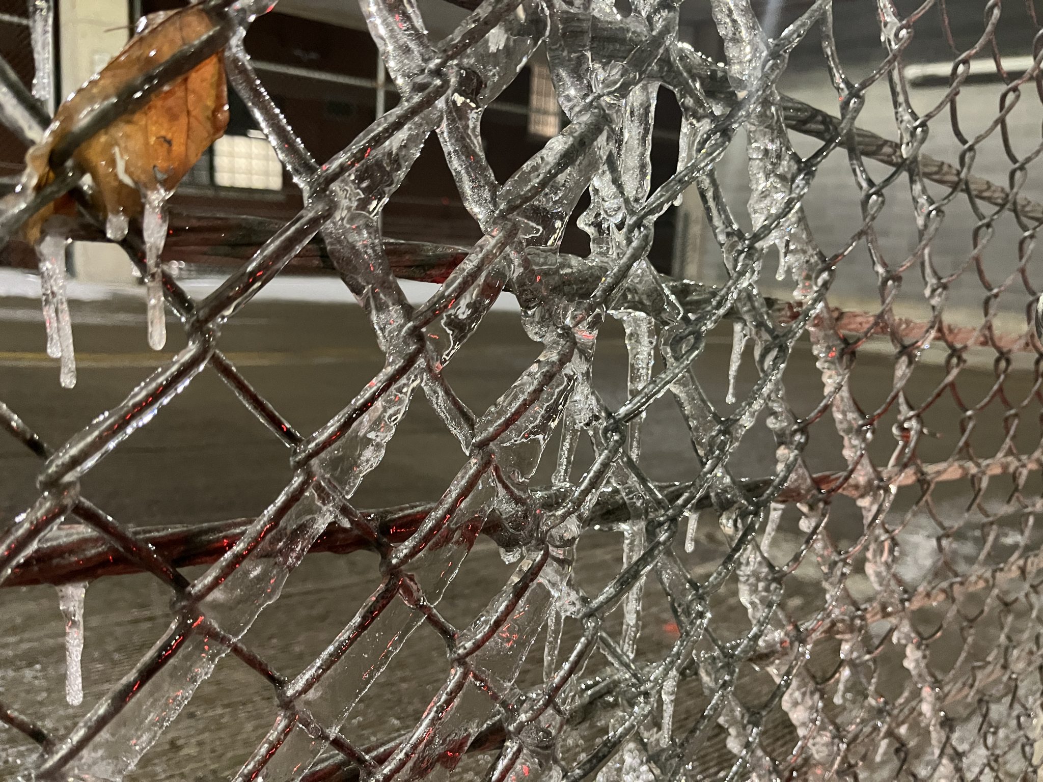 Ice on a fence