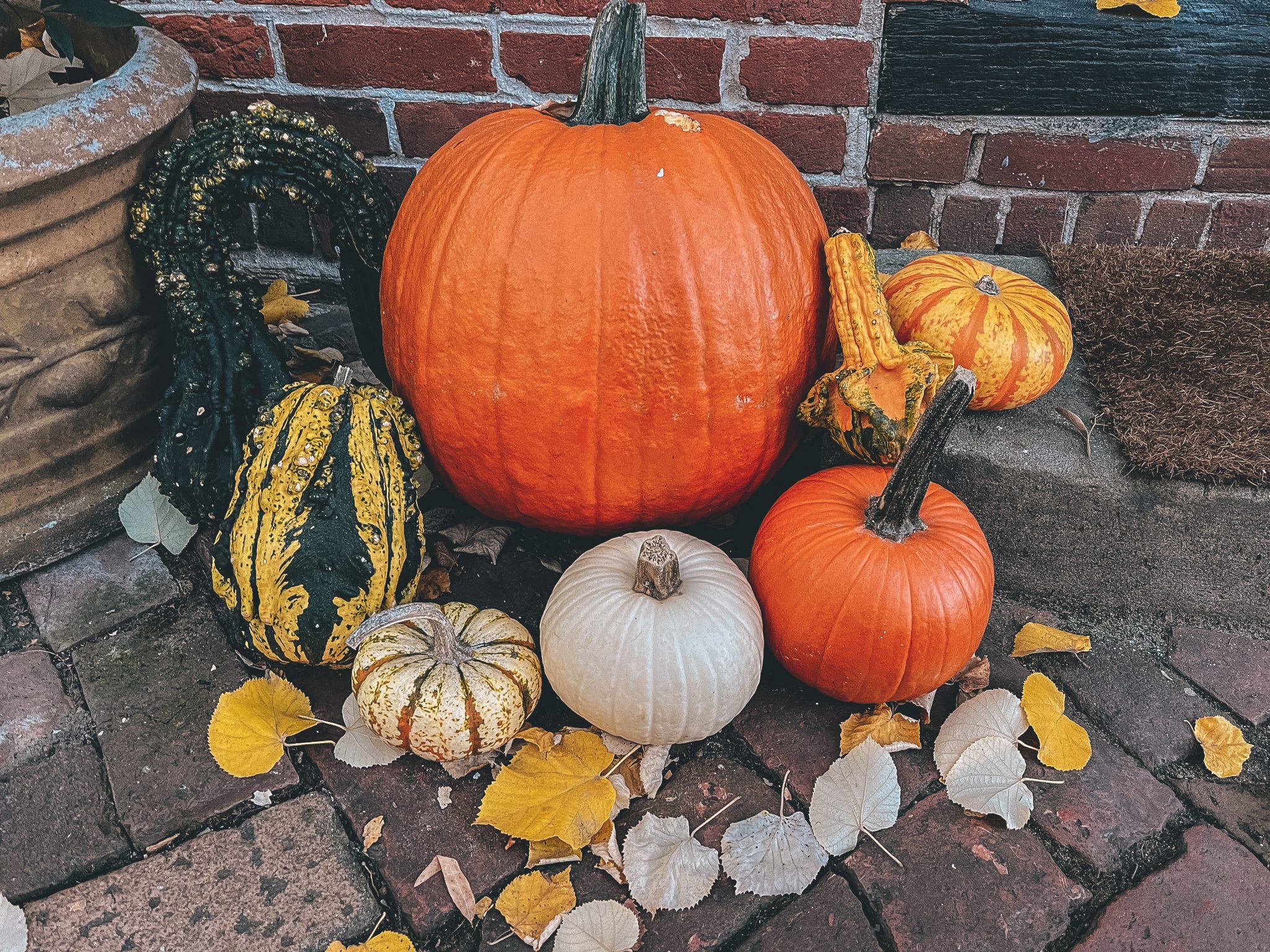 Pumpkin decorations for fall on sidewalk