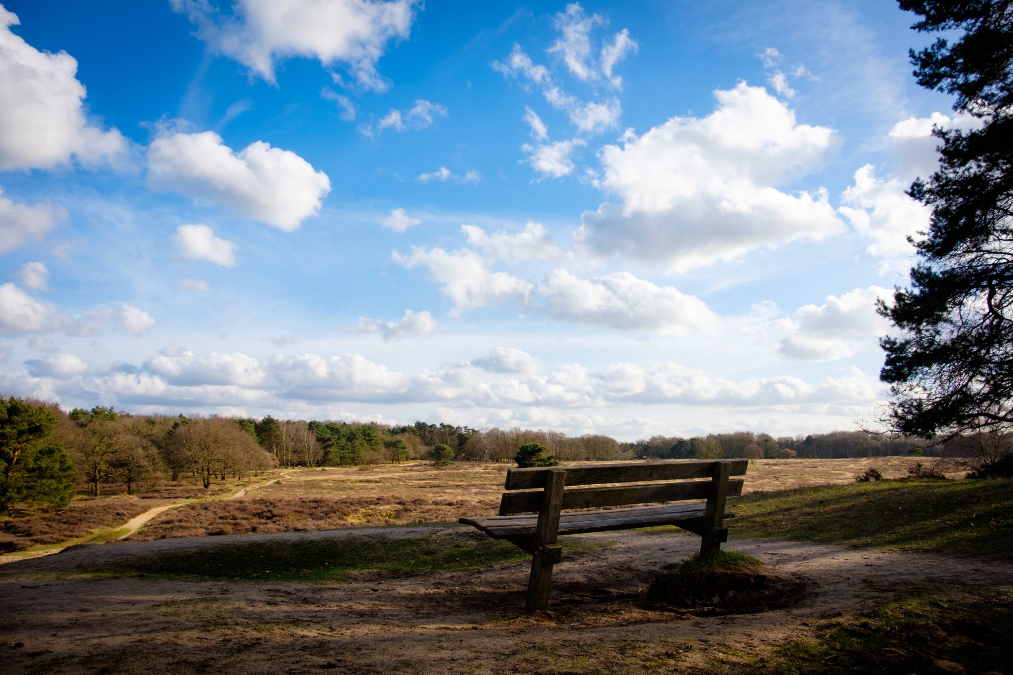 Bench overlooking a hay field in The Netherlands