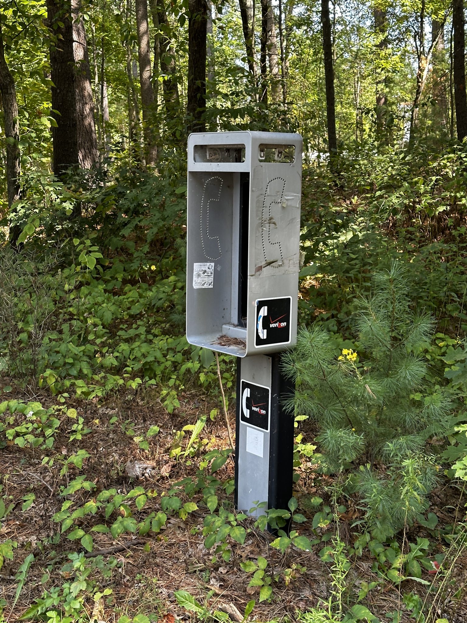 Photo Booth in the woods