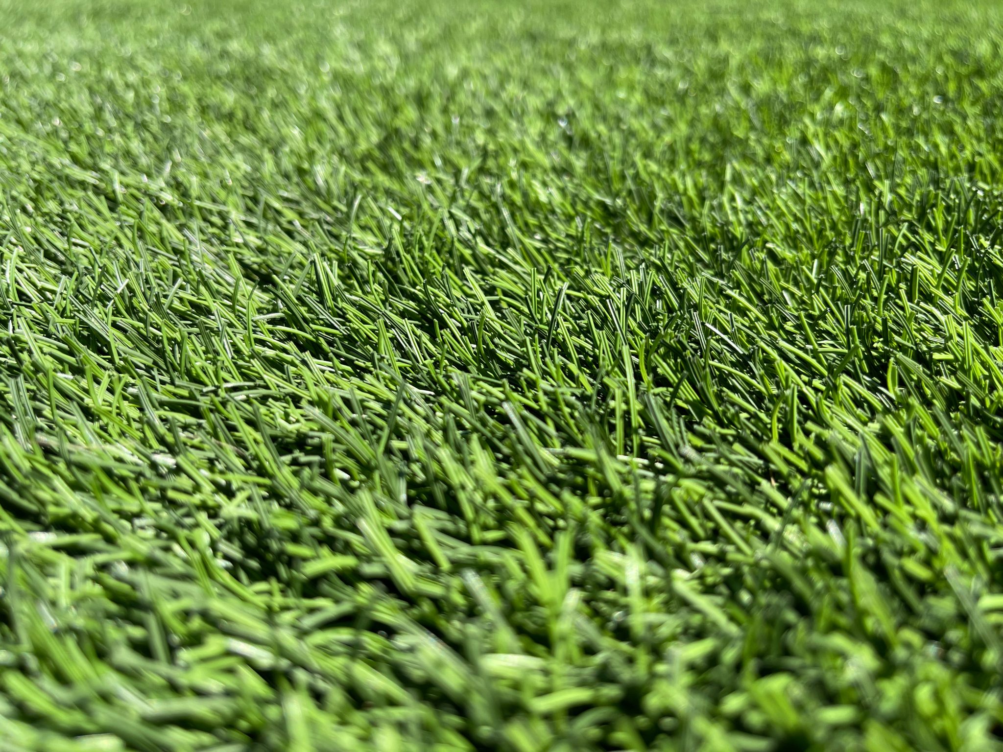 Closeup of astroturf grass
