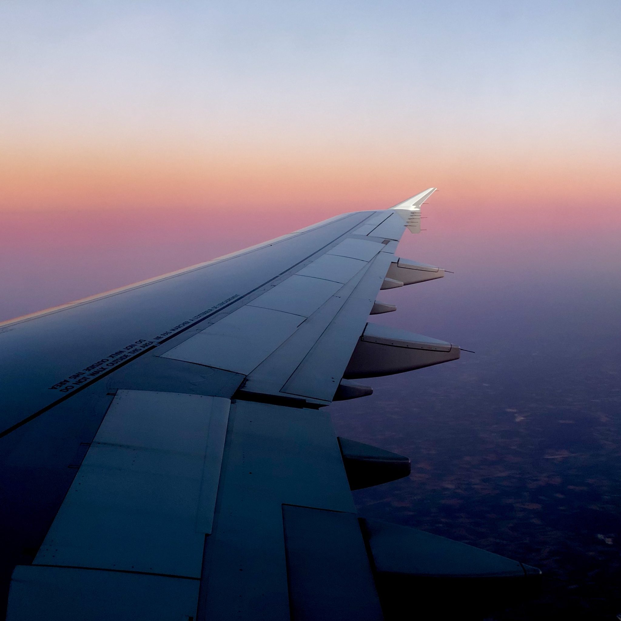 Sunrise on the wing