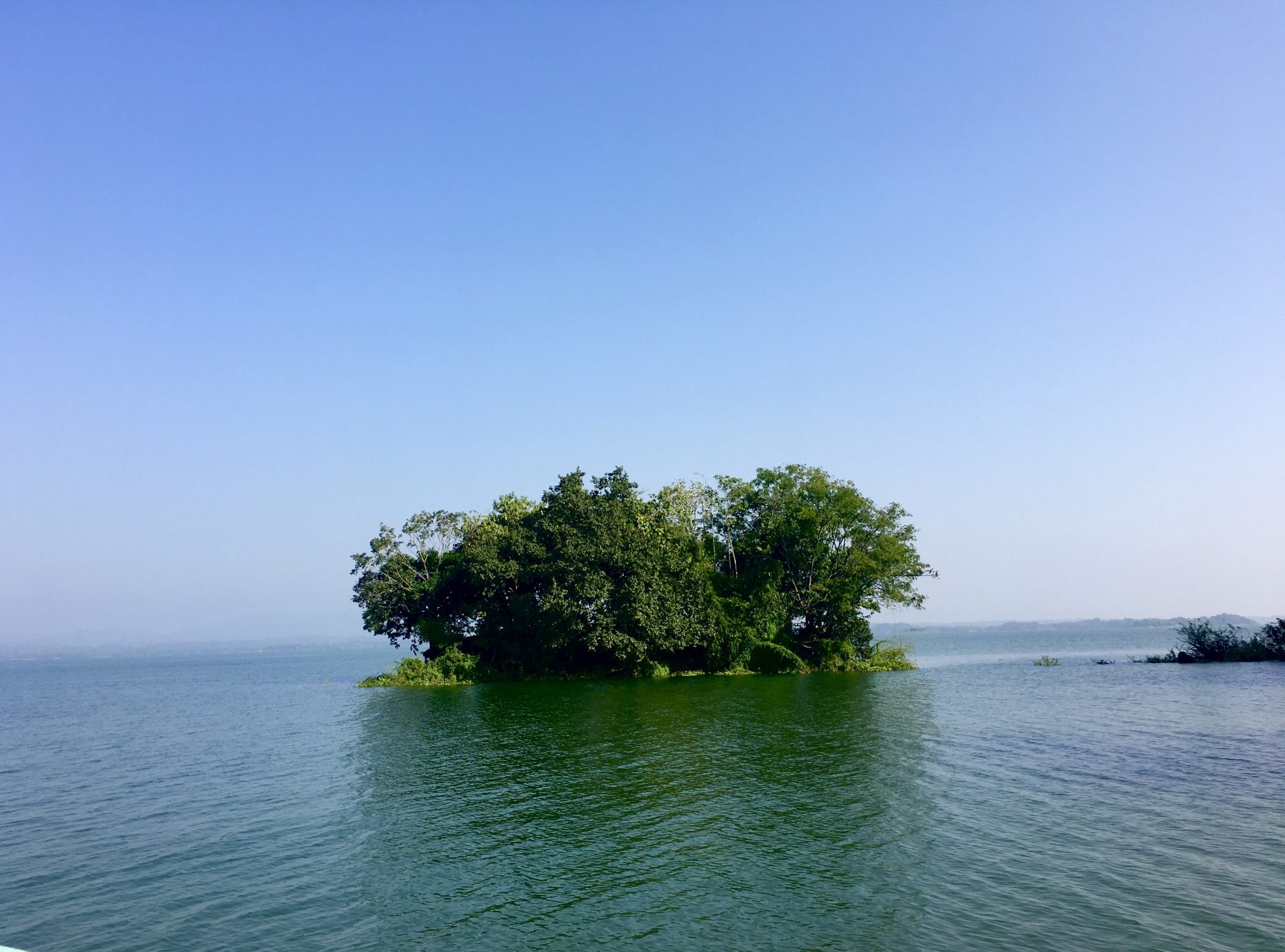So nice view! Trees are on the water at Kaptai lack