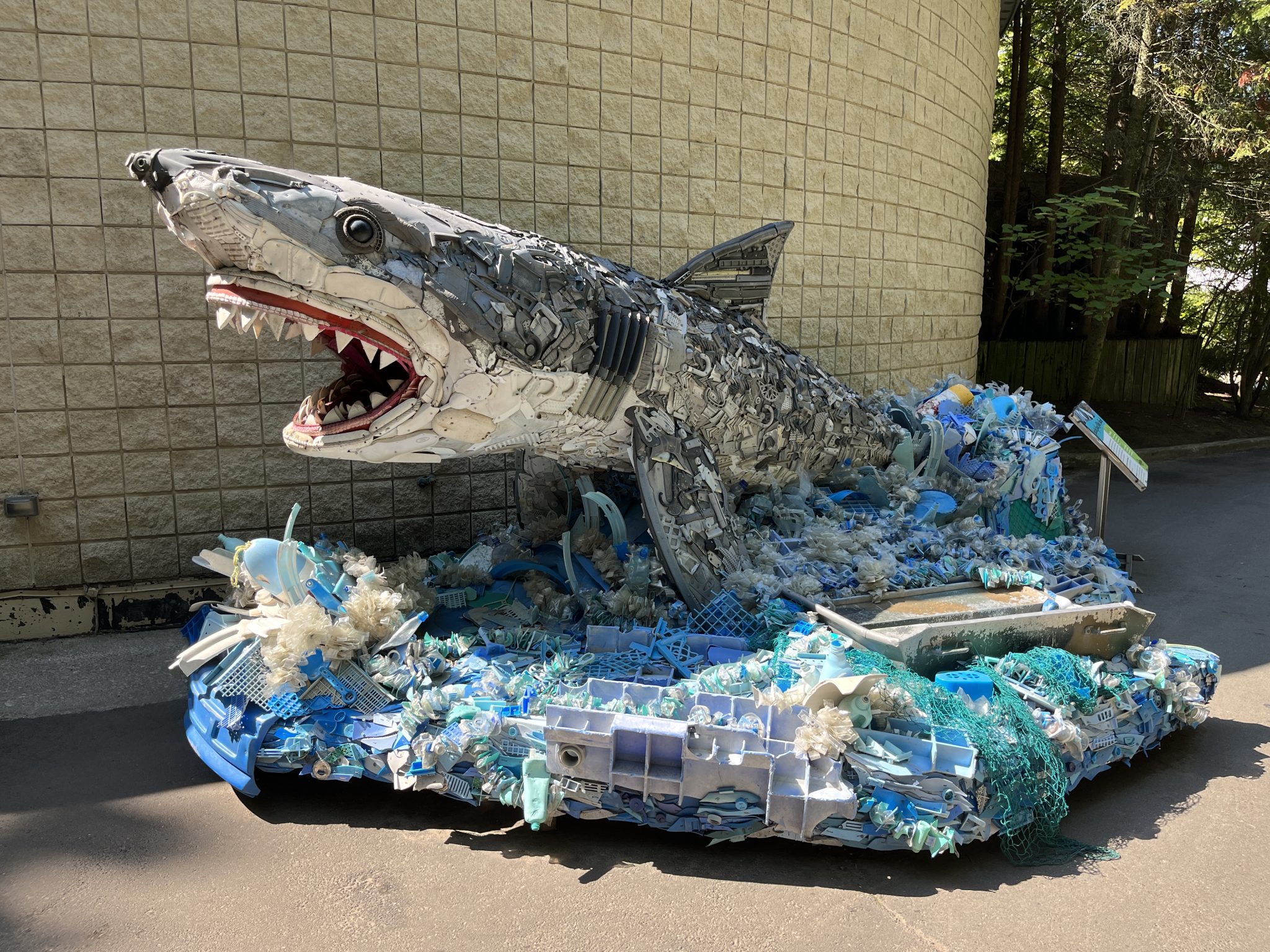 Shark made of trash