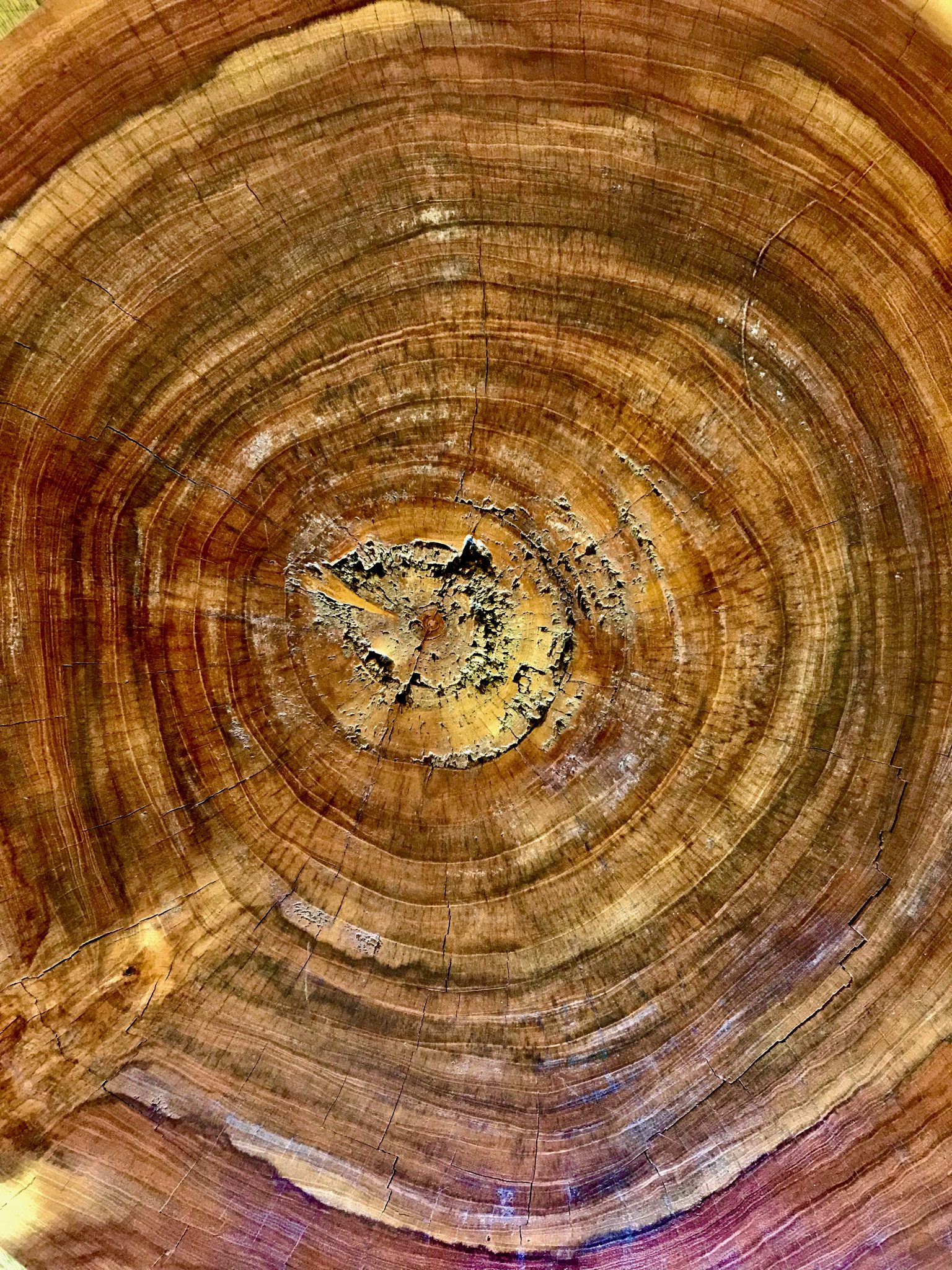 Patterns in wood