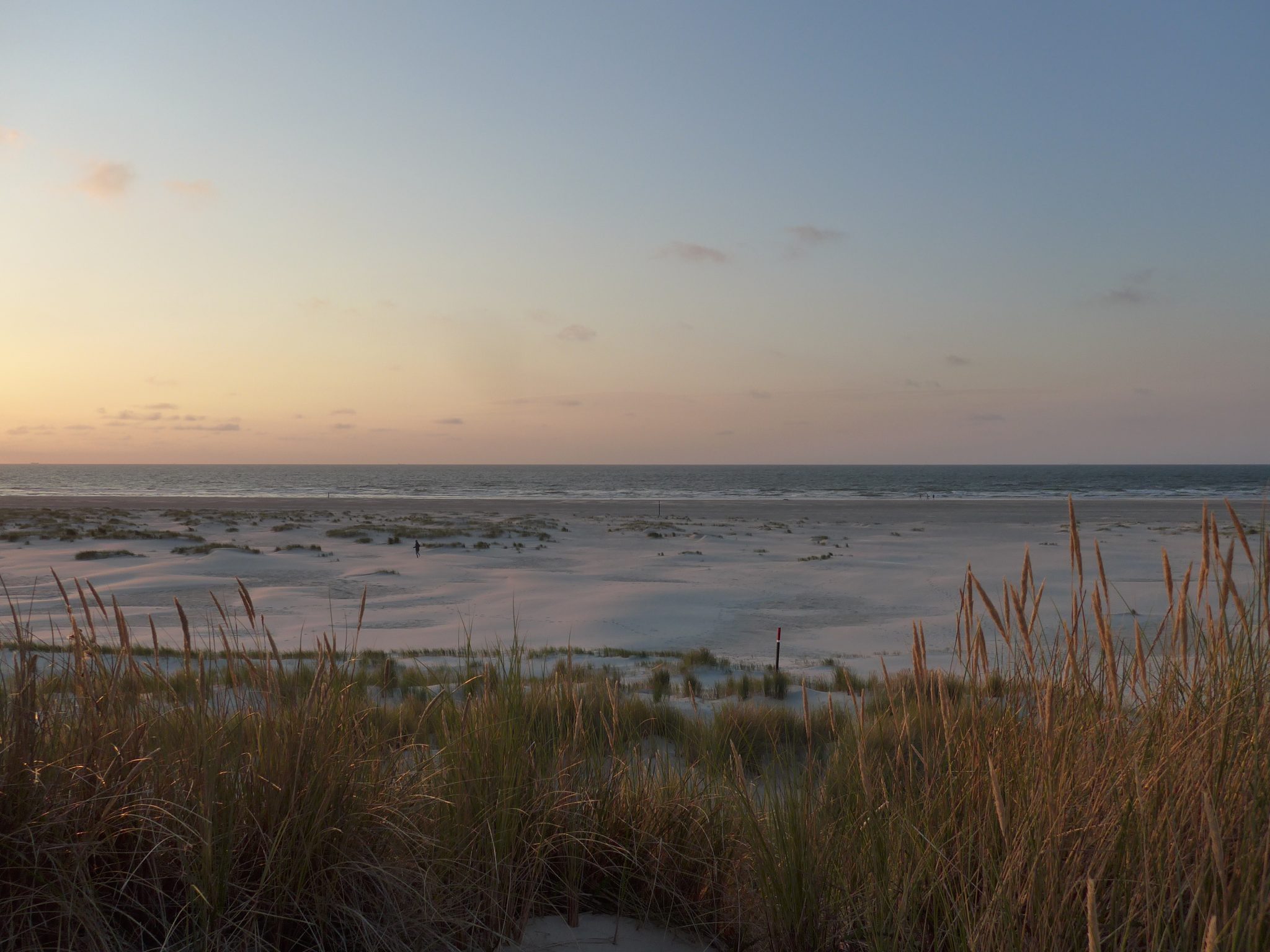 Dunes, beach and sea during sunset on Terschelling, Netherlands. WorldPhotographyDay22