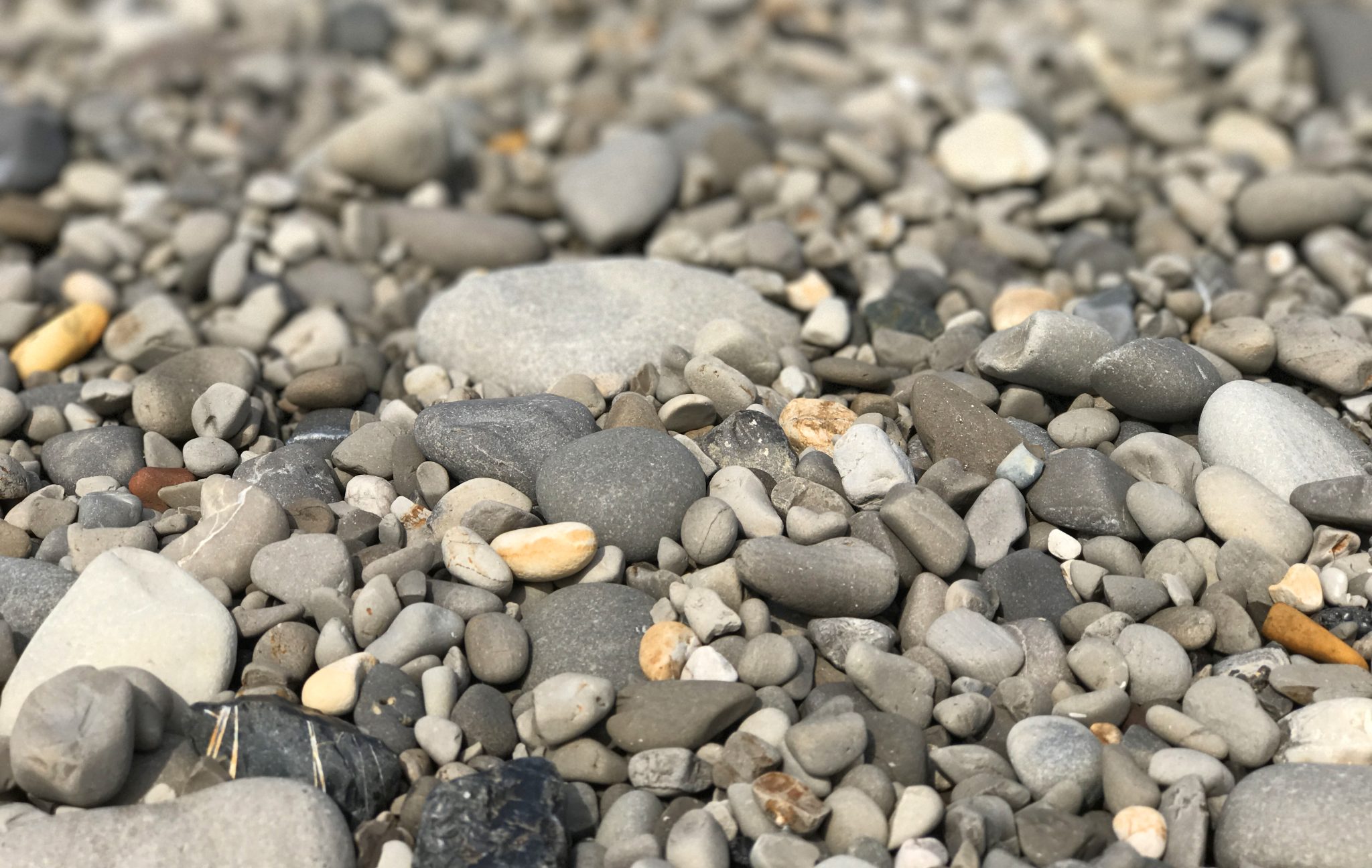 Pebbles and rocks in dry creek bed