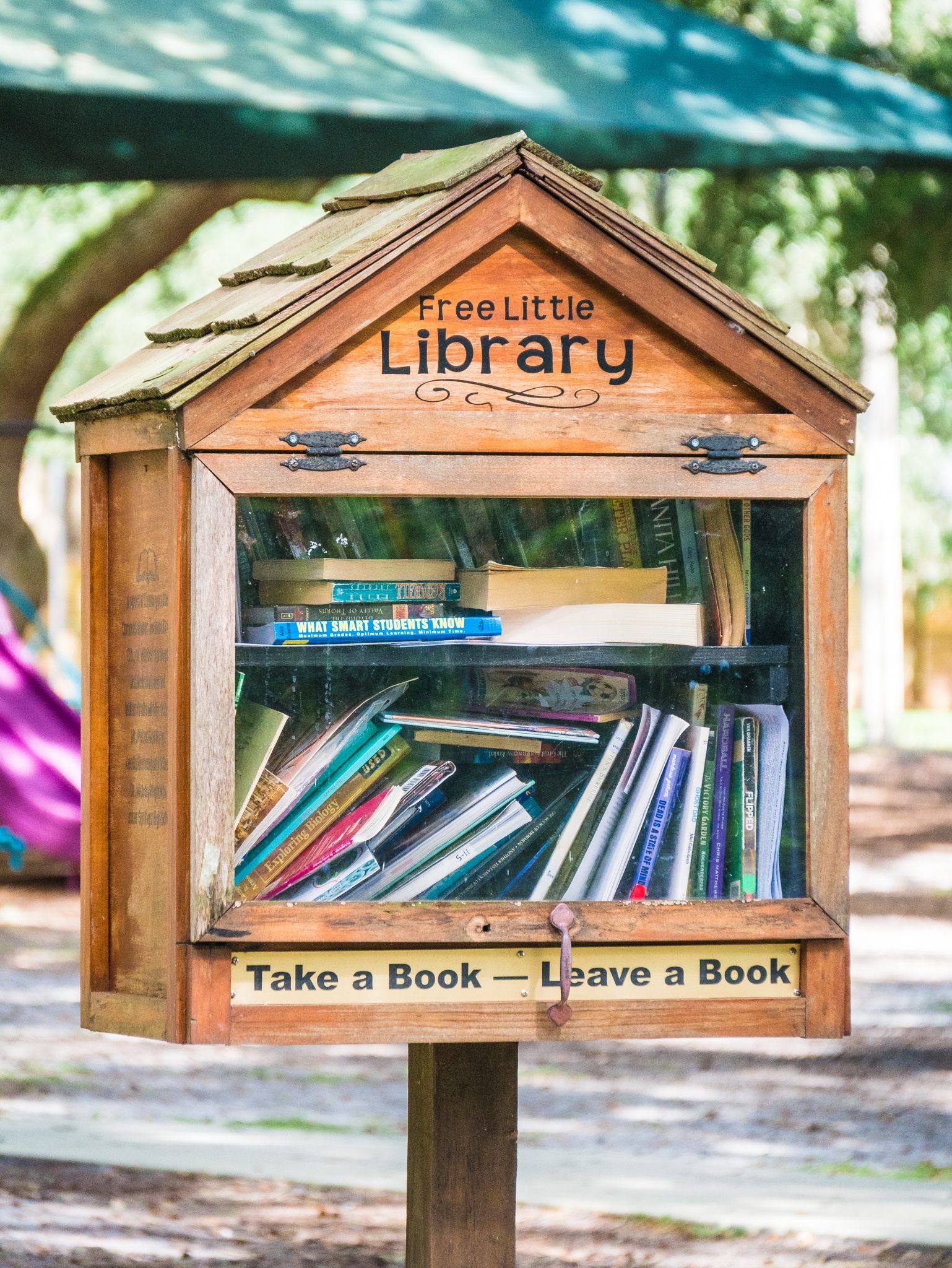 Free book library at a park