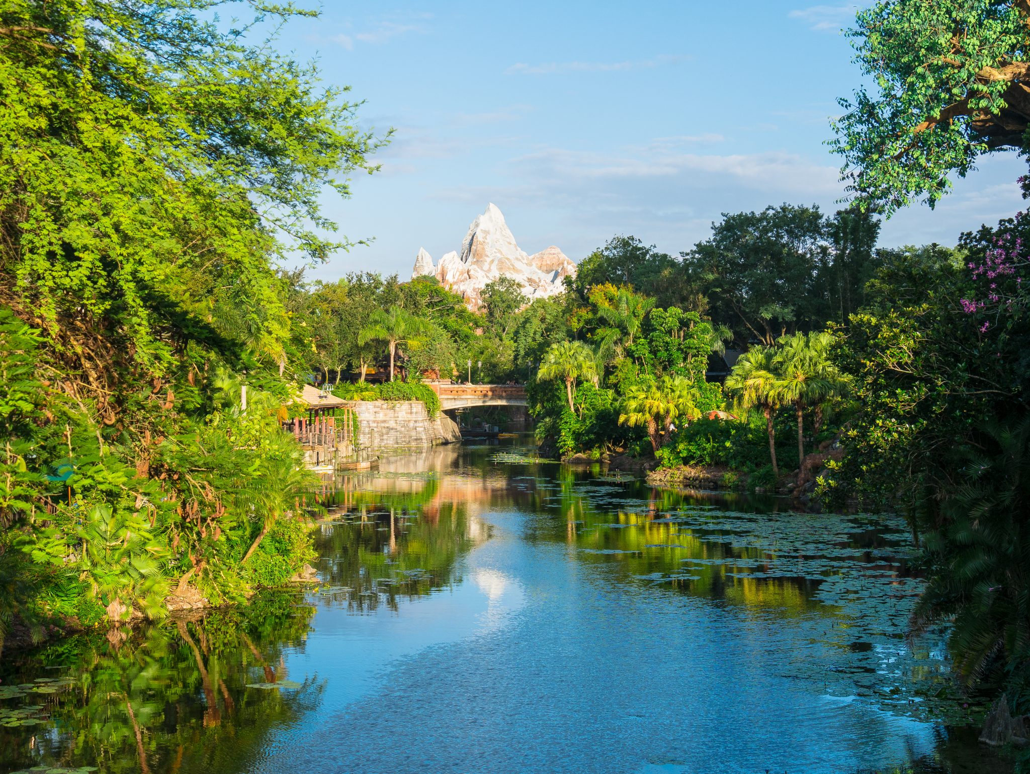 River at Disney’s Animal Kingdom with Expedition Everest in the background