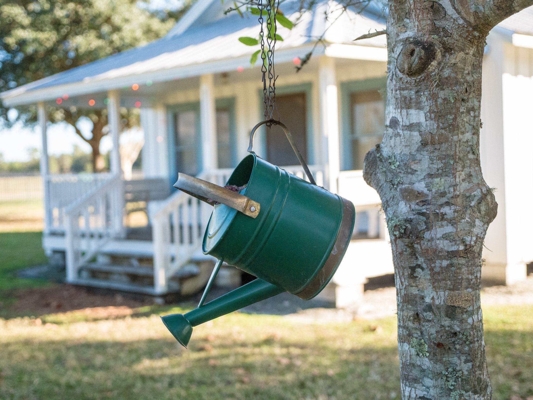 Water can hanging from a tree next to a historic Florida home