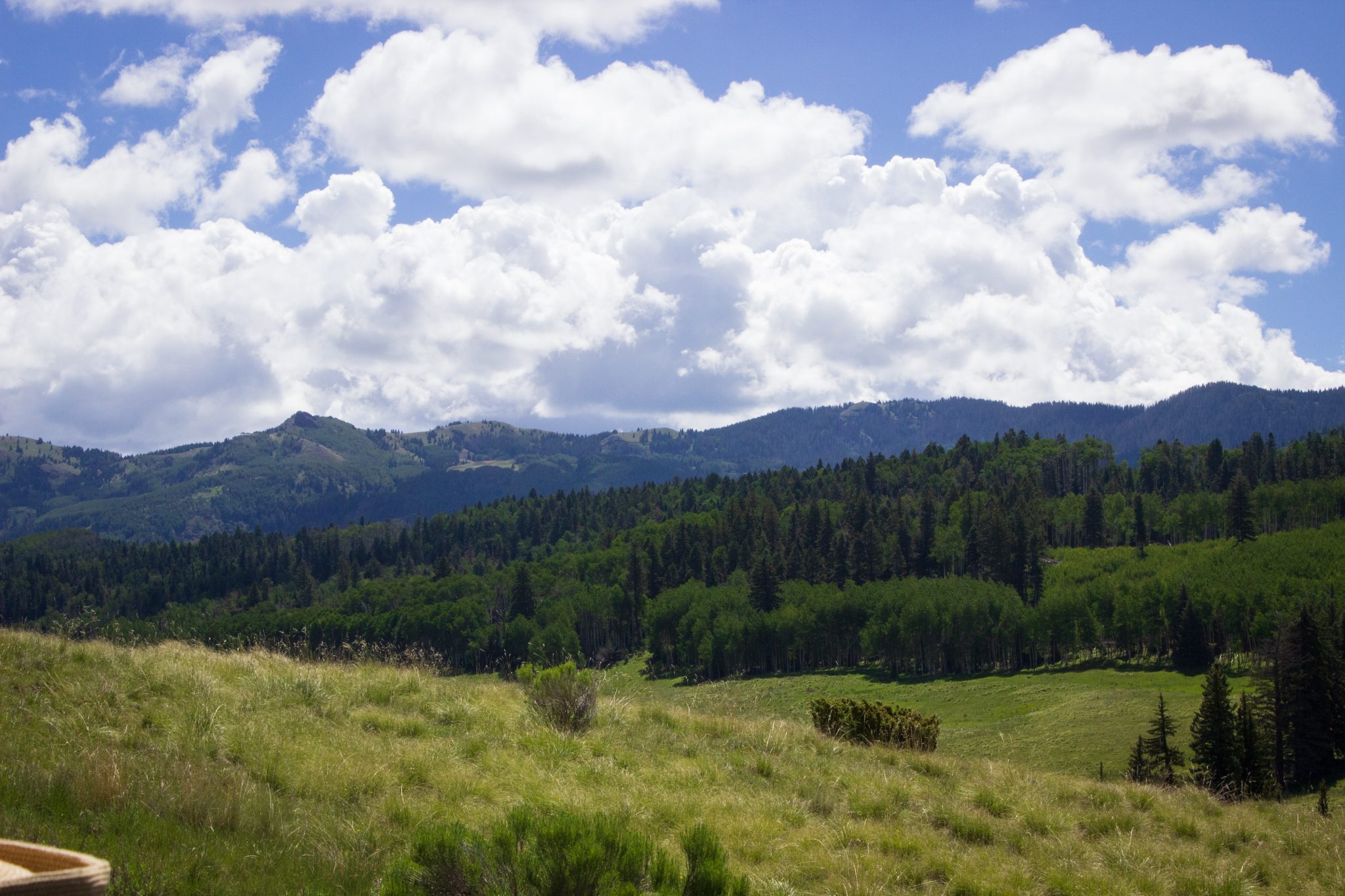 View of the San Juan mountains from the Cumbres and Toltec Railroad