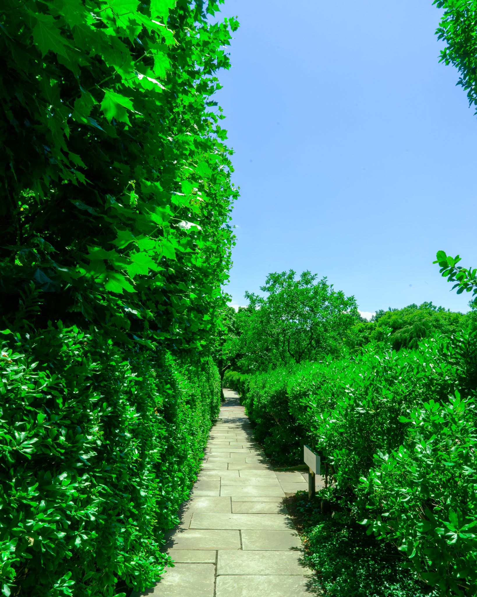 Cleveland Botanical Gardens walkway
