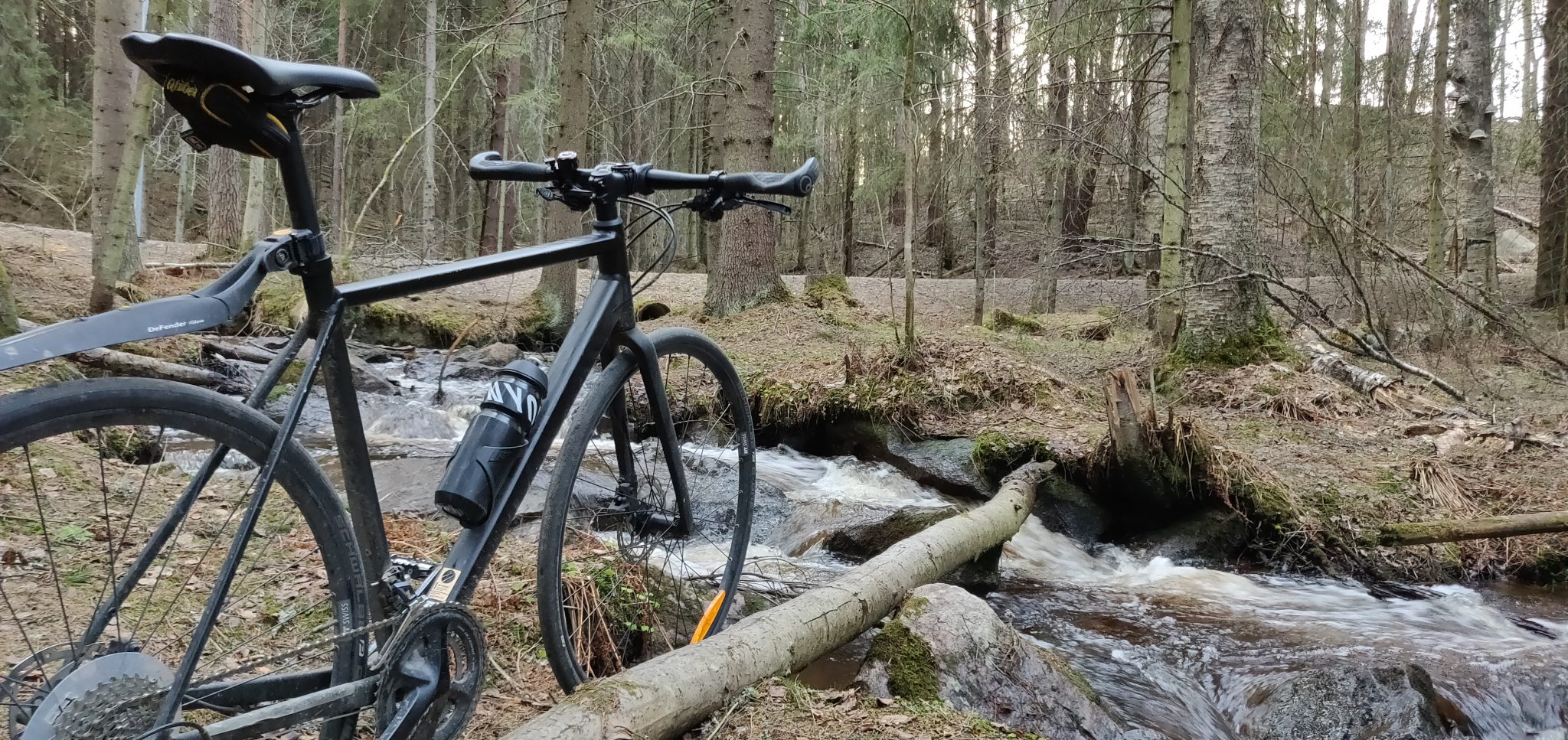 Bicycle and small stream in forest