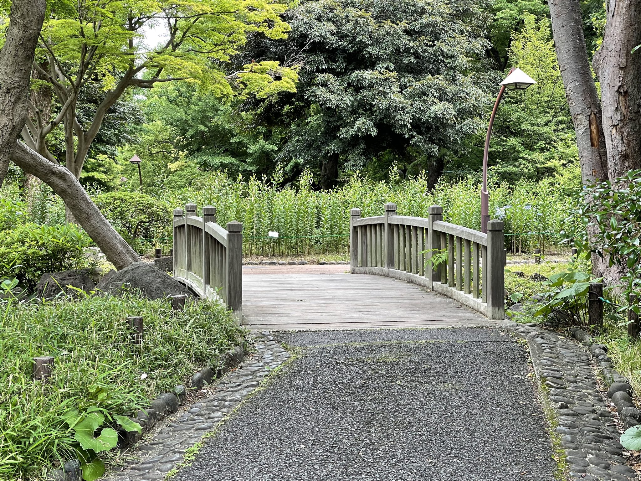 A little bridge in the park. / Hibiya Park, Japan