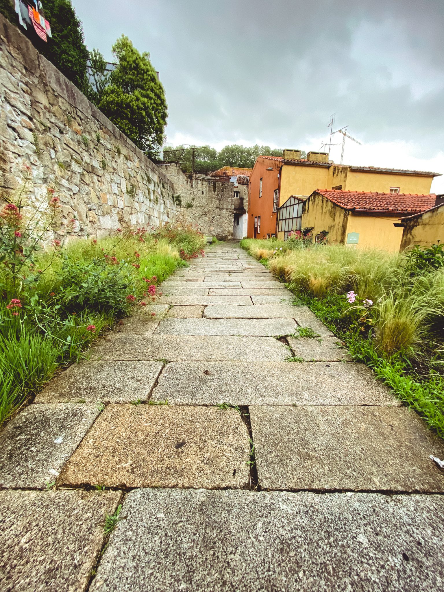 Very old stone sidewalk in Porto, Portugal. Surrounded with plants, flowers, grass and old buildings.