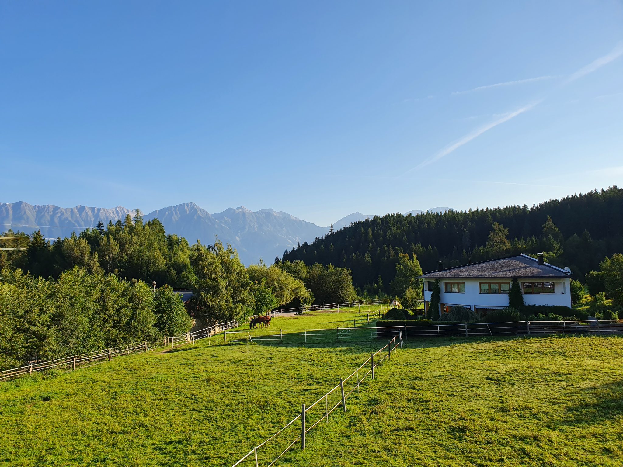 Green Grass + Mountains + Austria